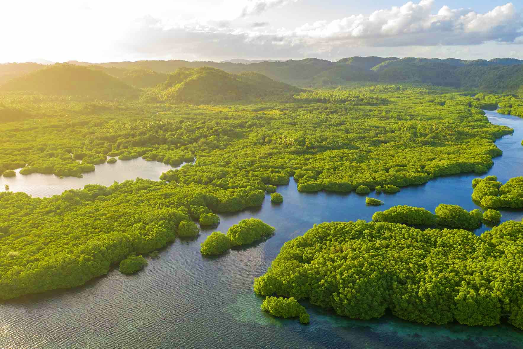 Aerial view of Amazon rainforest with rivers and lush green vegetation in Brazil
